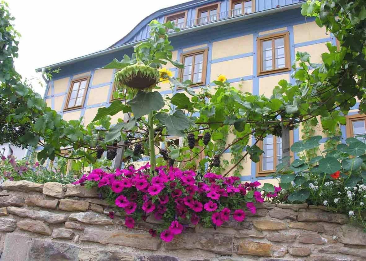 In Der Alten Weinstube Freital Buitenkant foto
