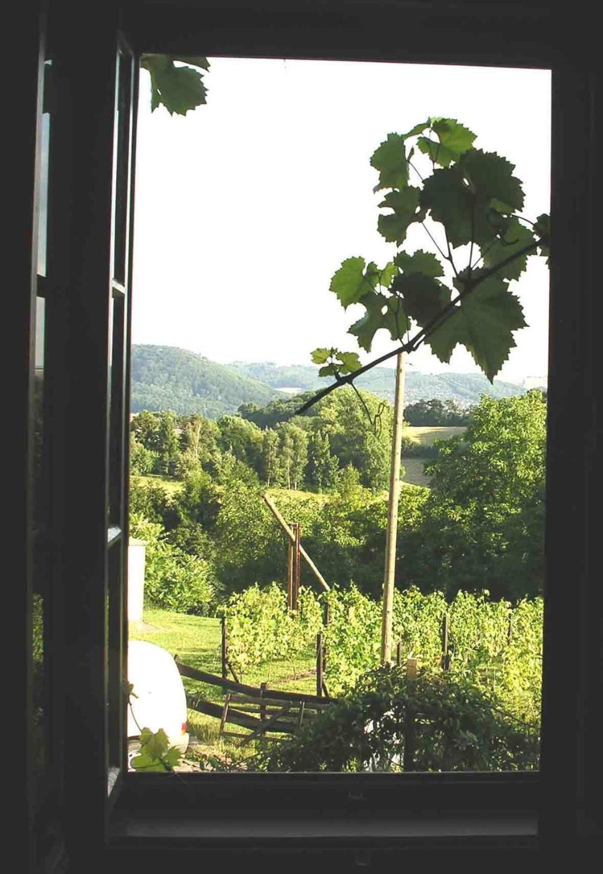 In Der Alten Weinstube Freital Buitenkant foto